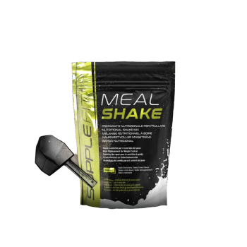 MEAL SHAKE MIT SAHNEGESCHMACK I Inhalt: 744 g (24 Portionen a 31 g)