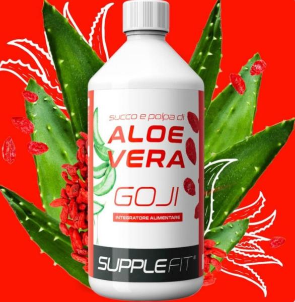 SAFT UND FRUCHTFLEISCH DER ALOE VERA MIT GOJI I Inhalt: 1000 ML